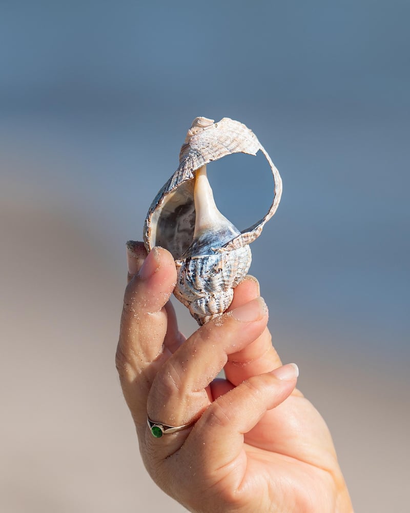 Time Displacement Glove